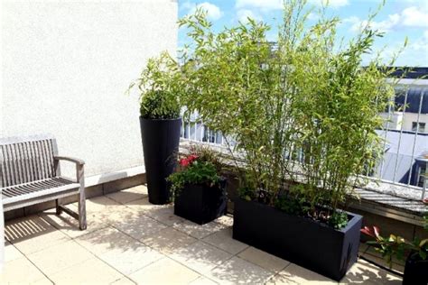 Bamboo Balcony Privacy Screen Ideas With Plants Carpets And Bars