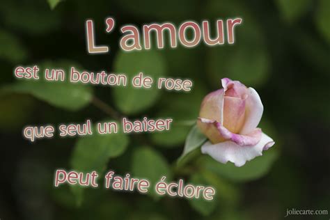 cartes virtuelles rose amour joliecarte