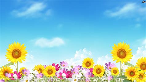 Summer Flower Backgrounds ·① Wallpapertag