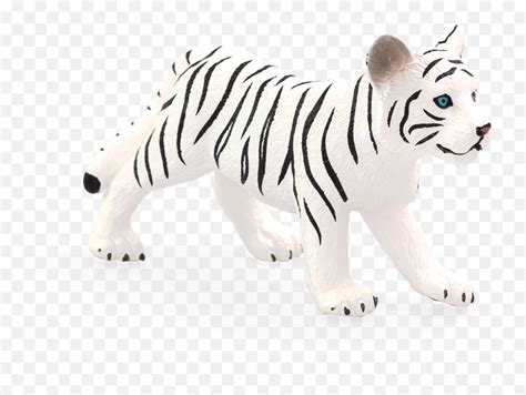 White Tiger Cub Standing Mojo Bengal Tiger Pngwhite Tiger Png Free