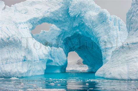 Iceberg Arches Antarctica Tom Murphy Photography
