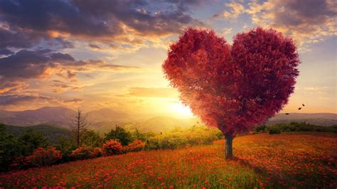 1280x720 Resolution Heart Shaped Artistic Tree 4k 720p Wallpaper