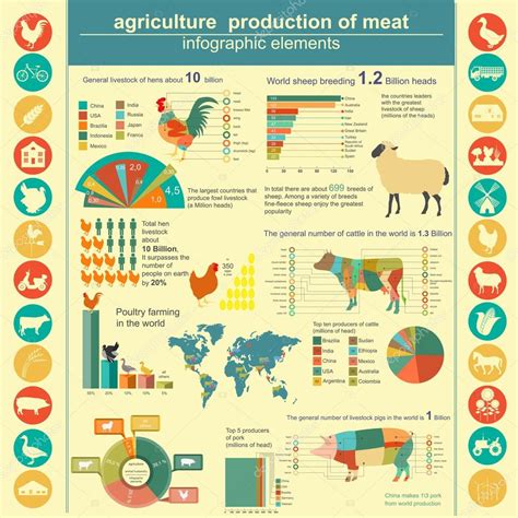 Agricultura Infografías De Cría De Animales 2022