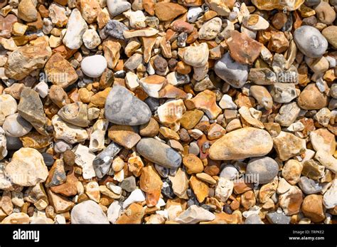 Shiny Pebbles On A Stoney Beach Stock Photo Alamy