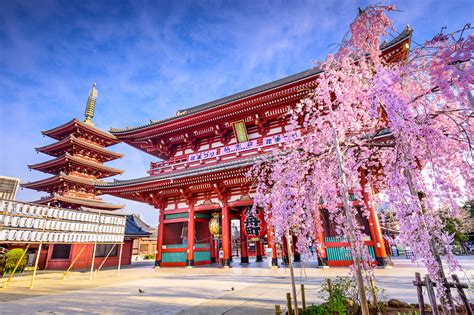 Tokyo City Tours: Explore the Best of the Capital