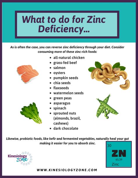 Zinc Deficiency Symptoms And The Best Food Sources Kinesiologyzone