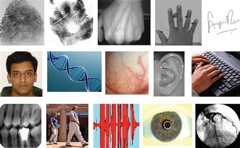 Examples Of Biometric Traits A Fingerprints Palm Prints Hand