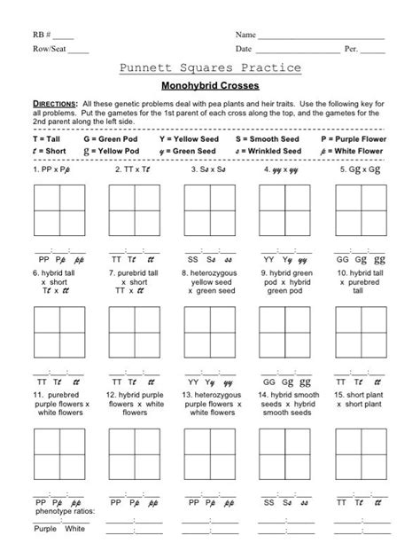Monohybrid Crosses Practice Worksheet Answers