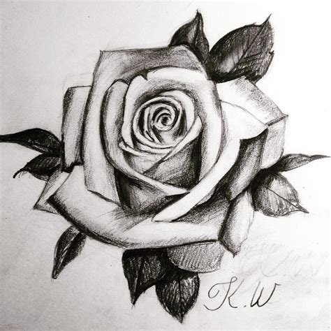 Pencil Sketch Rose Flower Drawing Easy Denue Voconesto