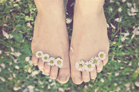 Wallpaper Yellow Sun Blossom Spring Toes Daisy Feed Flower