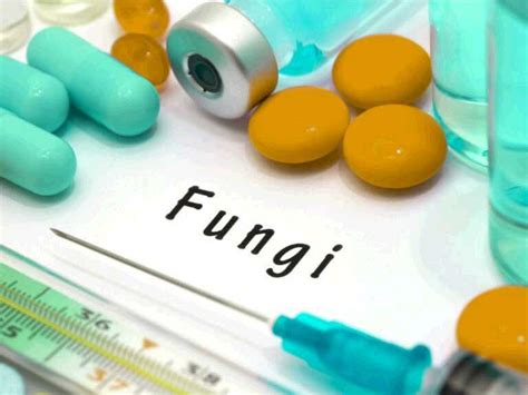 What Are The Most Common Antifungal Drugs Treating Fungus
