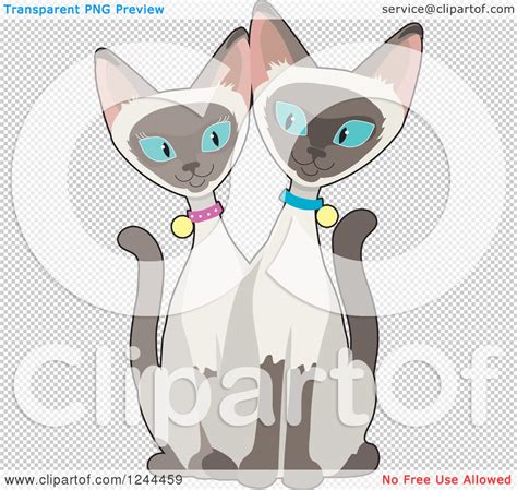 Clipart Of A Blue Eyed Siamese Cats Royalty Free Vector Illustration