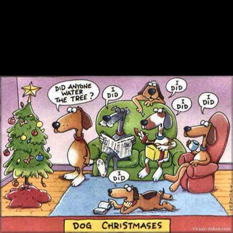 Pin By Dana Gardner On Dachshunds Funny Christmas Cartoons Funny