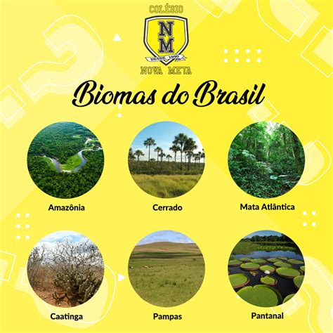 SÃO 6 BIOMAS NO BRASIL Biomas são regiões que compreendem grandes