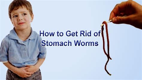 How To Get Rid Of Stomach Worms With Best Home Remedies Arbkan