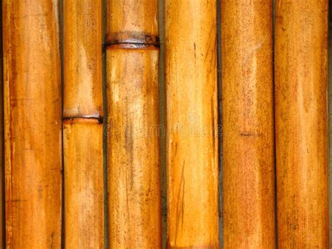 Bamboo Pole Texture Stock Image Image Of Plant Segments 21194309