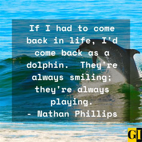 25 Happy Dolphin Quotes And Saying That Will Make Your Day