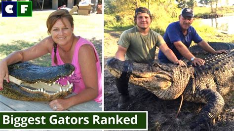 Who Caught The Biggest Gators In Swamp People History Youtube
