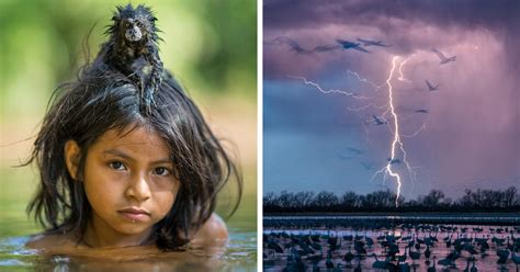 50 Of The Best Images Of The Year Announced By National Geographic