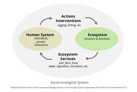 Social Ecological Systems Saras Institute