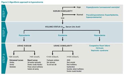 Hyponatremia Causes Algorithm