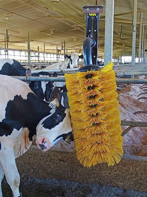 Buy Easyswing Cow Brush Large Cow Comfort Cattle Brush Cow