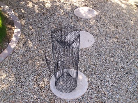 New (28) from $6.94 & free shipping. Crayfish Trap | I made a crayfish trap a few years ago ...
