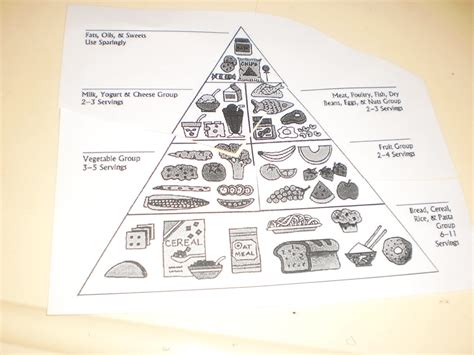 Nowadays the base of the pyramid are grains, cereal and pasta. Ms. Shelly's Classroom: FOOD PYRAMID- OLD vs. NEW