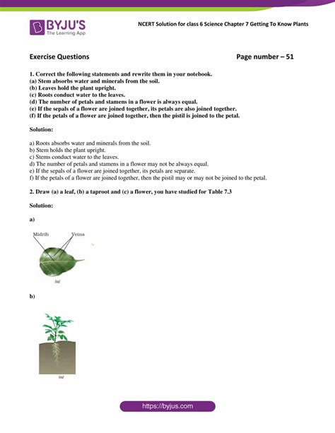 Ncert Solutions For Class 6 Science Chapter 7 Getting To Know Plants