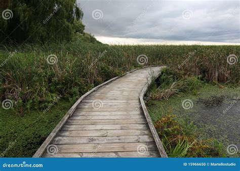 Boardwalk Over Marsh Stock Photo Image Of Protection 15966650