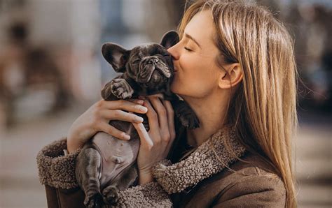 See the answers, explore popular topics and discover unique insights from central park puppies employees. Purebred & Designer Breed Puppies for Sale Near NY USA | Central Park Puppies