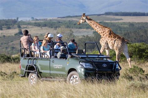safari lodges entlang der garden route rhino africa blog