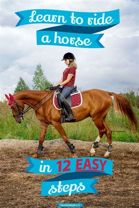 Learn To Ride A Horse In 12 Easy Steps A Beginners Guide To Riding
