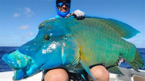 20 Most Unique Fish In The Ocean Simply Amazing Stuff