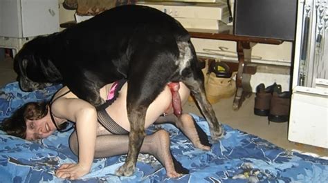 Whorish Milf In Sexy Lingerie Bends For Dog Sex Xxx Femefun
