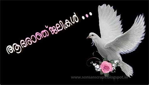 These 20 best condolences helps you to focus on what's matters. sonsan scraps: ആദരാഞ്ജലികൾ (condolences)