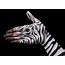10 Amazing Examples Of Hyper Realistic Hand Art  Pick Chur