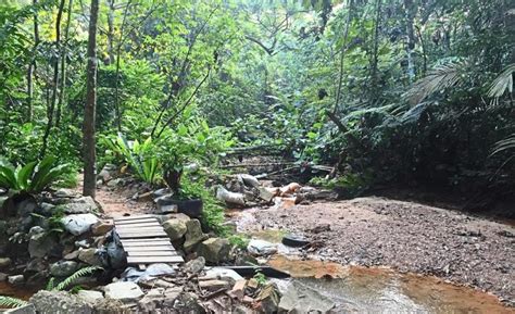 Apart from hiking, visitors like to have picnics there too! The Ultimate Guide to Hiking Places In Kuala Lumpur | PTT ...