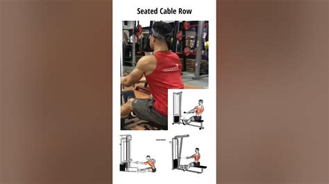 seated cable row and variations youtube