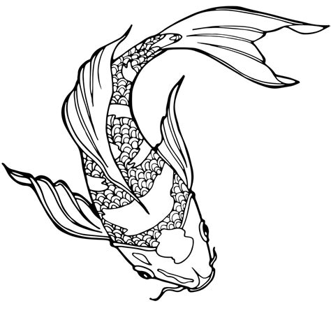 Koi Fish Pond - Japanese Gold Fish Coloring (PDF Book) For Adults