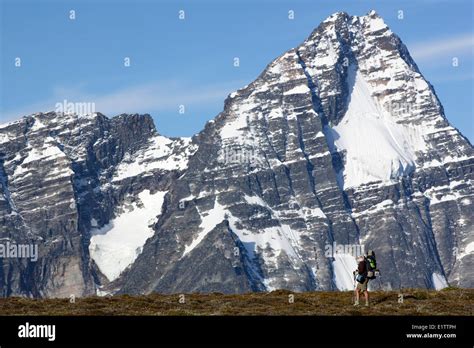 Selkirk Mountain National Park Hi Res Stock Photography And Images Alamy