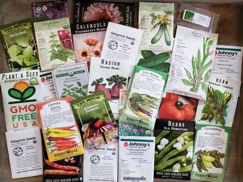 12 Places To Buy Organic Heirloom And Non Gmo Garden Seeds ~ Homestead