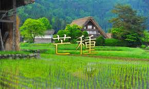 • please subscribe to 【音阙诗听】interestingcn music team channel on youtube if you like my videos: 芒種とは？その意味・由来は？2016年はいつ？小満芒種とは ...