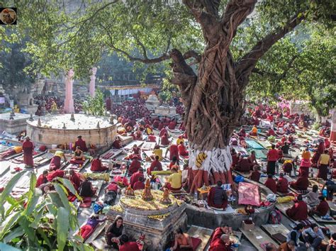 Bodhi Tree In Bodh Gaya India Real Life Representation Of Buddha