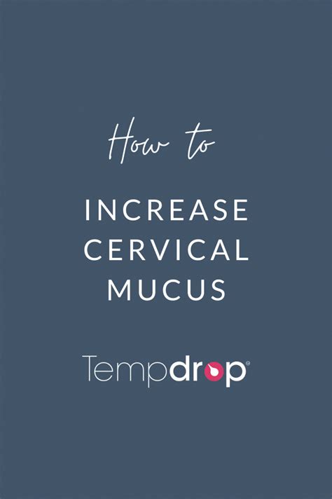 The Words How To Increase Cervical Mucus On A Dark Blue Background