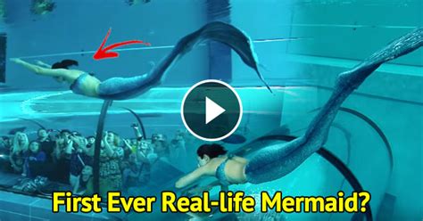 The First Ever Real Life Mermaid Was Spotted Swimming Underwater In
