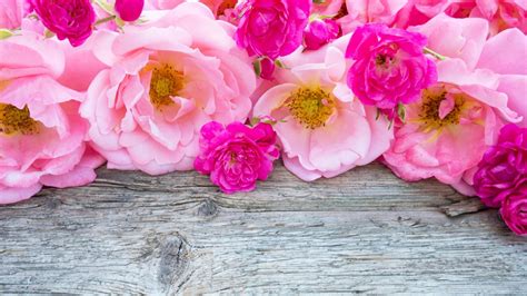 Download 4k wallpapers ultra hd best collection. Rose wallpapers 3840x2160 Ultra HD 4k desktop backgrounds