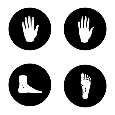 Conjunto De ícones De Glifo De Partes Do Corpo Humano Mãos Masculinas