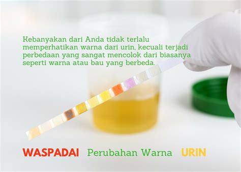 Maybe you would like to learn more about one of these? Beda Infeksi Saluran Kemih Dan Infeksi Ginjal - Tips ...