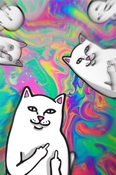 We did not find results for: Ripndip Wallpaper Hd - (42 images) | Trippy iphone ...